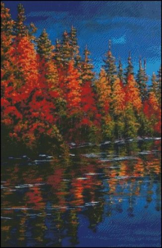 (image for) Autumn Contrast